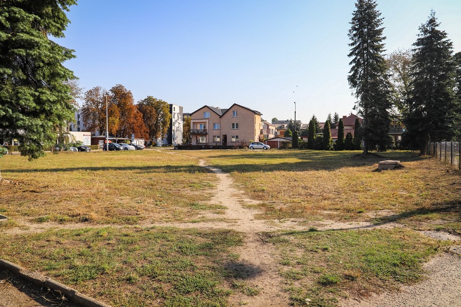 foto (Kopiowanie)