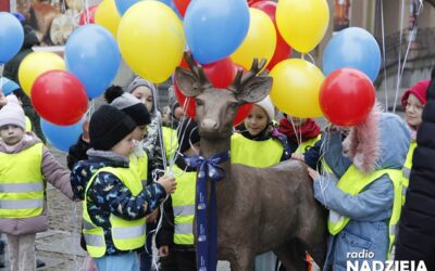 Łomża: Ruszyło głosowanie na imię dla jelonka