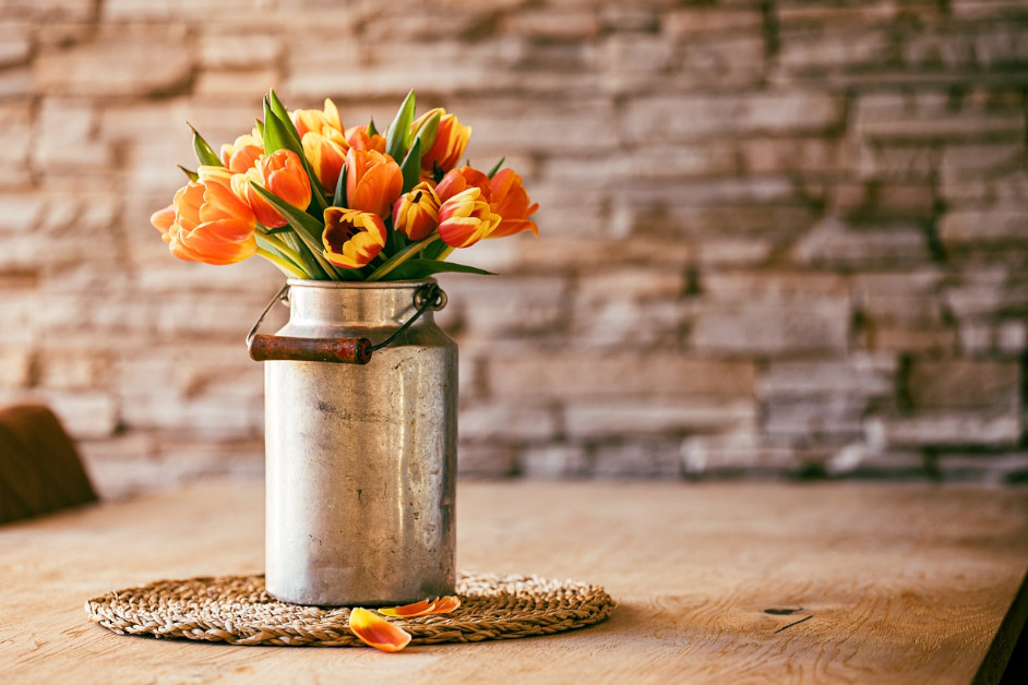 tulipany