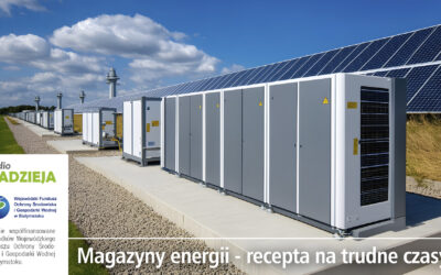 Eko Życie: Magazyny energii – recepta na trudne czasy?