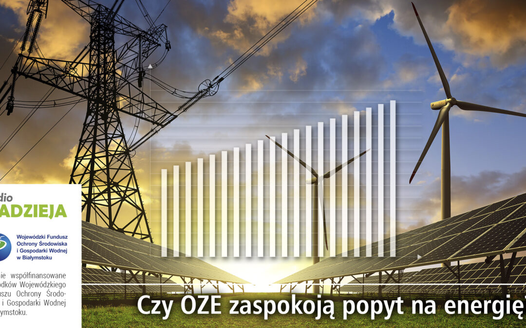 Eko Życie: Czy OZE zaspokoją popyt na energię?