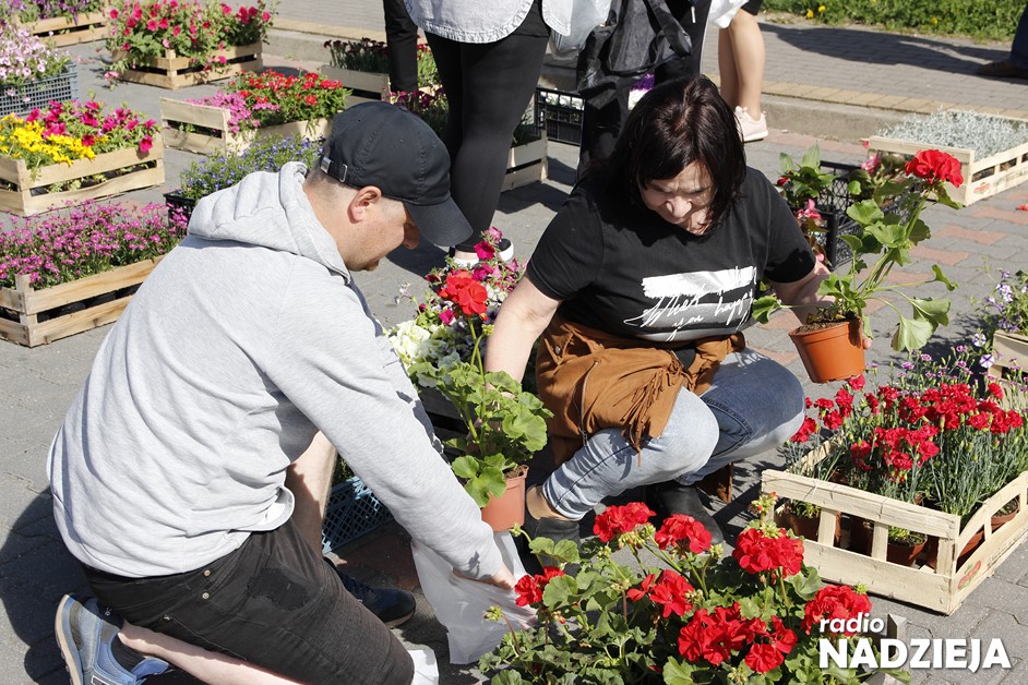 _MG_0500 (Kopiowanie)