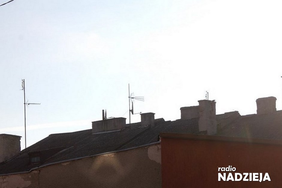 IMG_1211-Kopiowanie-001-Kopiowanie-Kopiowanie