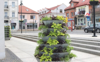 Łomża: Kwiaty upiększyły Stary Rynek. „To cieszy oko”