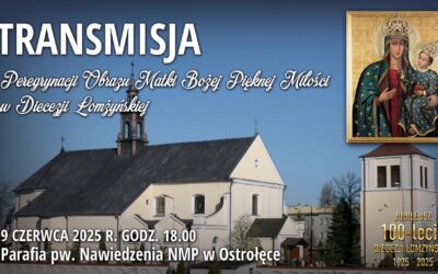 Wiara: Peregrynacja Matki Bożej w Ostrołęce – Nawiedzenie NMP [VIDEO]