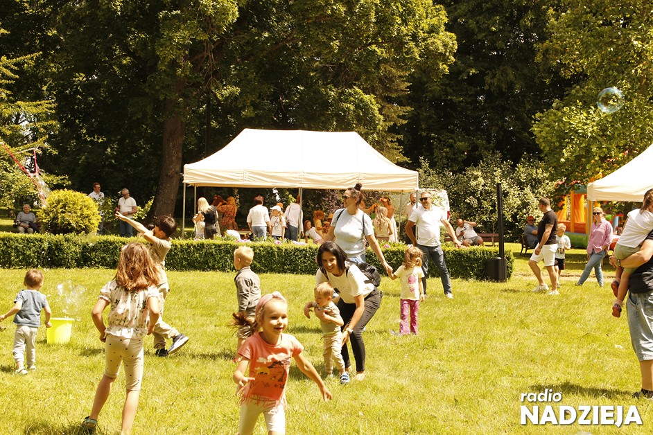 Plener OZE (23) (Kopiowanie)