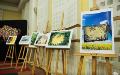 Podlaskie: „Pszczoła w obiektywie” po raz czwarty. Znamy wyniki konkursu