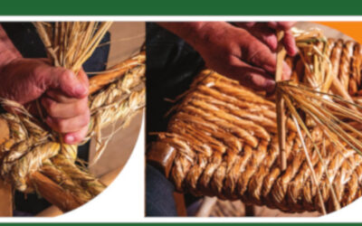 Ostrołęka: Zapisy na warsztaty plecionkarskie w MKK