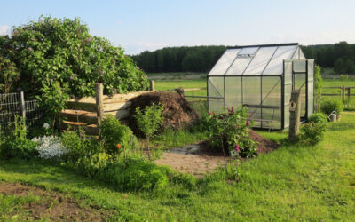 Mazowsze: Samorząd województwa wspiera działkowców. „Nasze zielone płuca”