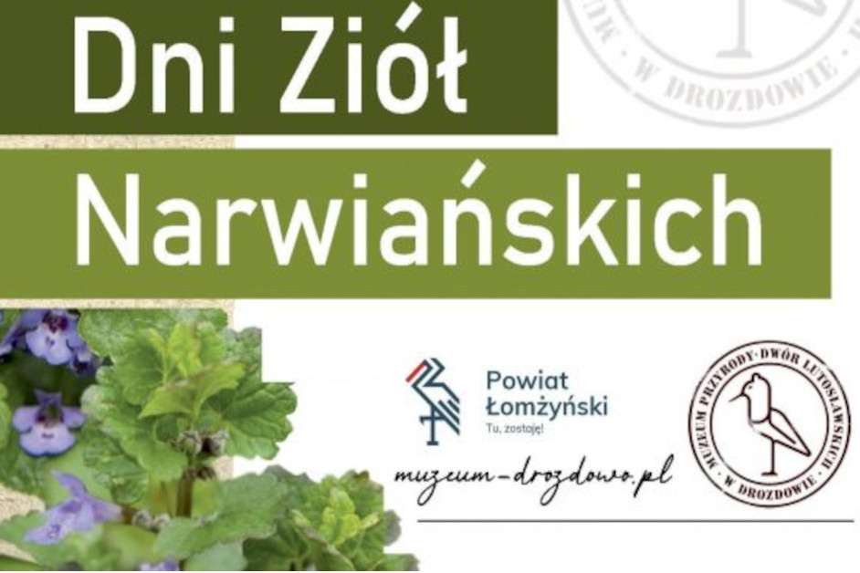 CREATOR: gd-jpeg v1.0 (using IJG JPEG v62), quality = 82