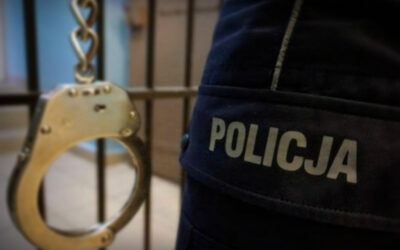 Łomża: Siedem zarzutów dla 25-latki. Łomżyńscy policjanci przerwali ciąg oszustw
