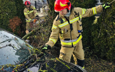 Region: Nowa aplikacja od PSP. „Gdzie się ukryć?”