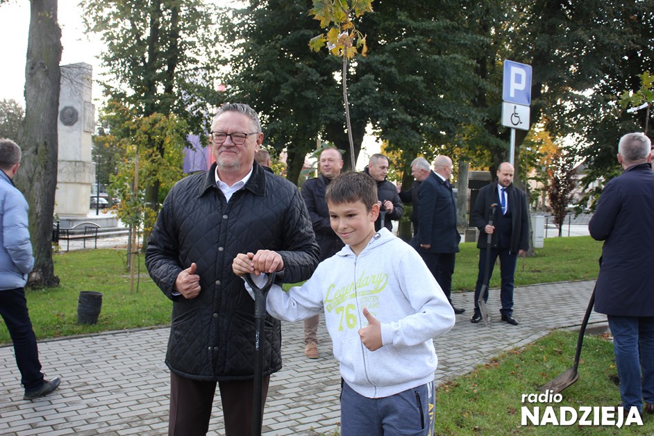 Kolno: 600 drzew na 600-lecie. Wspólna inicjatywa władz miasta, powiatu oraz uczniów
