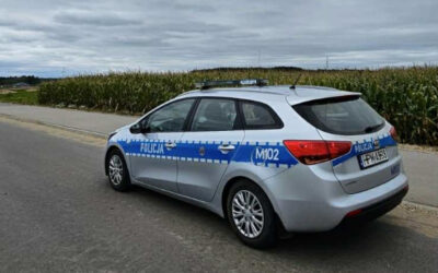 Kolno: Policja apeluje do rolników. Uwaga na „pułapki” w kukurydzy
