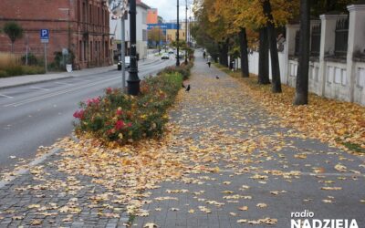 Łomża: Liście mogą zagrażać kierowcom. Pracownicy MPGKiM zabezpieczają miasto
