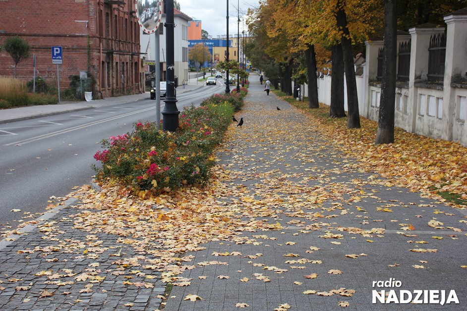 Łomża liście jesień (Kopiowanie)