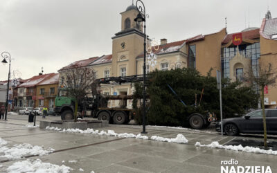 Łomża: Świąteczny klimat w mieście! Choinka pojawiła się na Starym Rynku