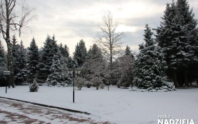 Region: Jaka pogoda na najbliższe dni w Łomży i na Podlasiu?