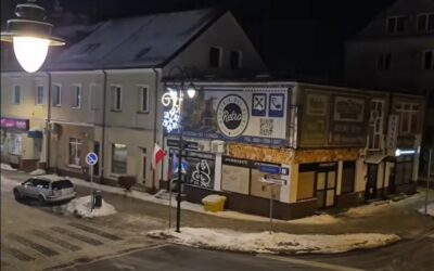 Łomża: Łoś przeszedł ulicami Łomży