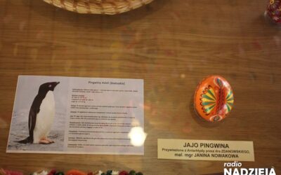 Ciechanowiec: Jajo pingwina atrakcją Muzeum Pisanki