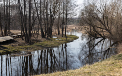Podlaskie: Trzy województwa łączą siły. Rusza projekt „Pisa – Narew”