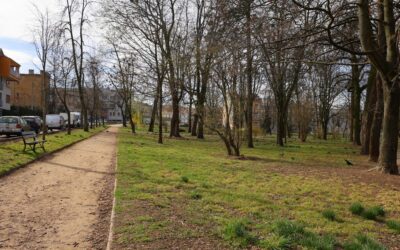 Łomża: Miasto przygotowuje się do rewitalizacji Parku Jakuba Wagi