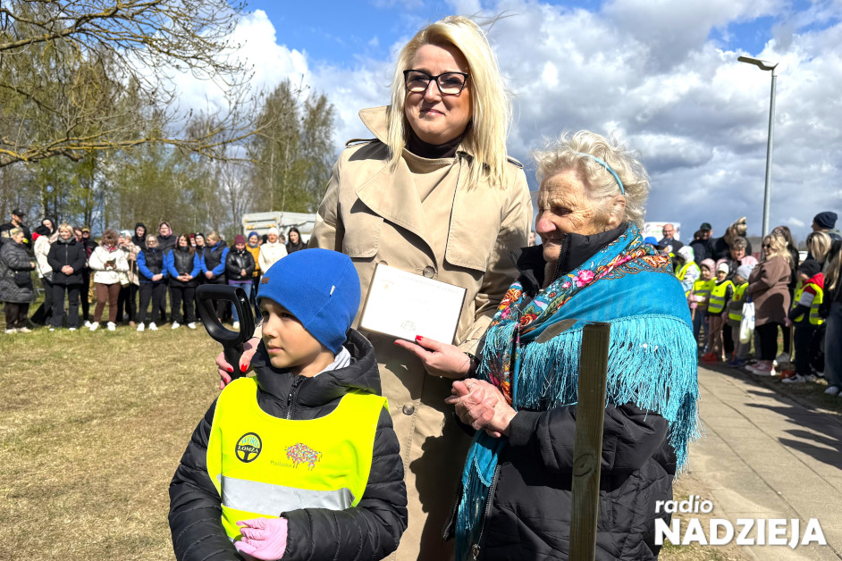 600 drzew na 600-lecie Stawisk