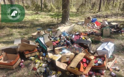 Łomża: Porzucone słoiki z domowymi przetworami wyrzucone do lasu