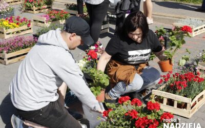 Łomża: W piątek kolejna edycja akcji „Ekologia za sadzonkę”