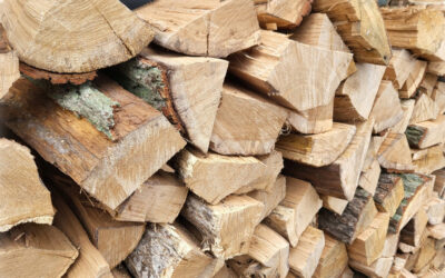 Łomża: Urząd Miejski informuje o prowadzeniu sprzedaży drewna