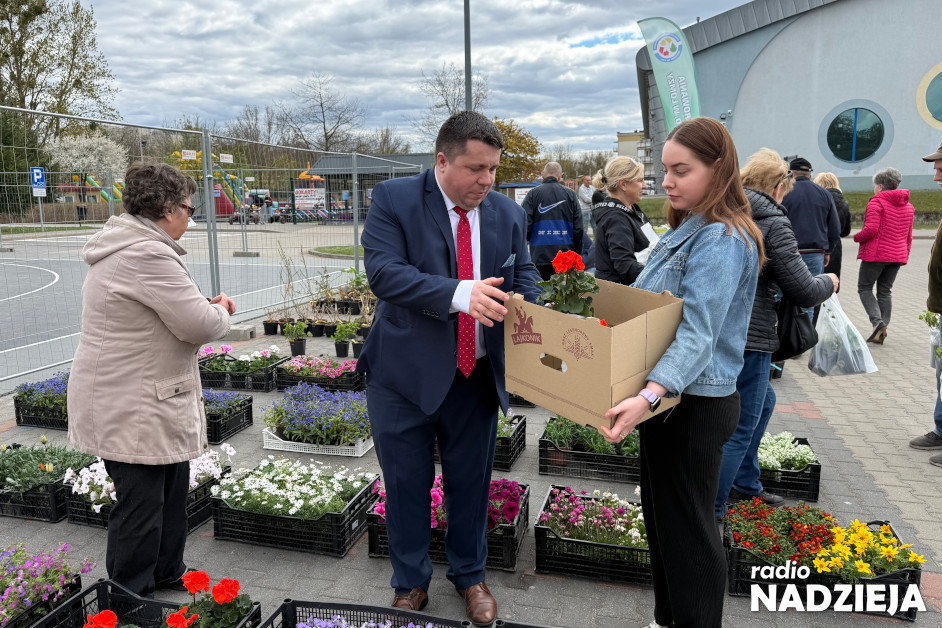 ekologia za sadzonkę