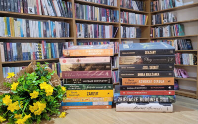 Gmina Śniadowo: Ponad 27 tysięcy książek wypożyczonych z biblioteki w ciągu roku