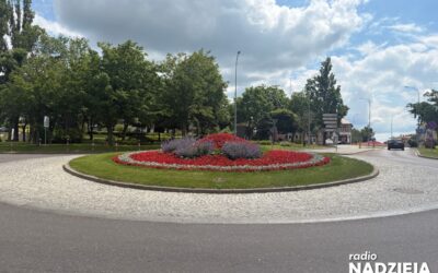 Łomża: Kwiaty jednoroczne ozdobiły miasto. To efekt pracy MPGKiM