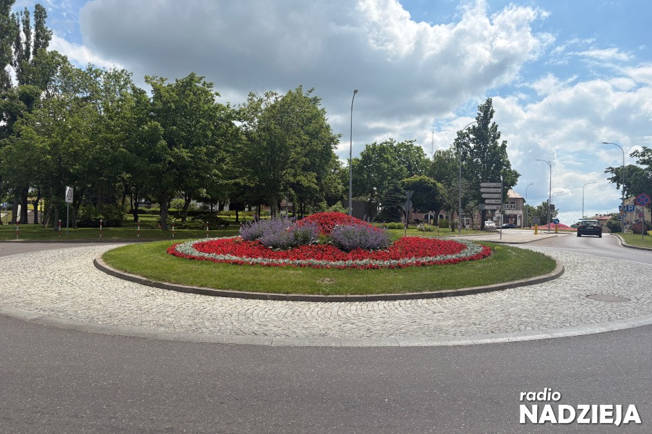 Nasadzenia (7) (Kopiowanie)