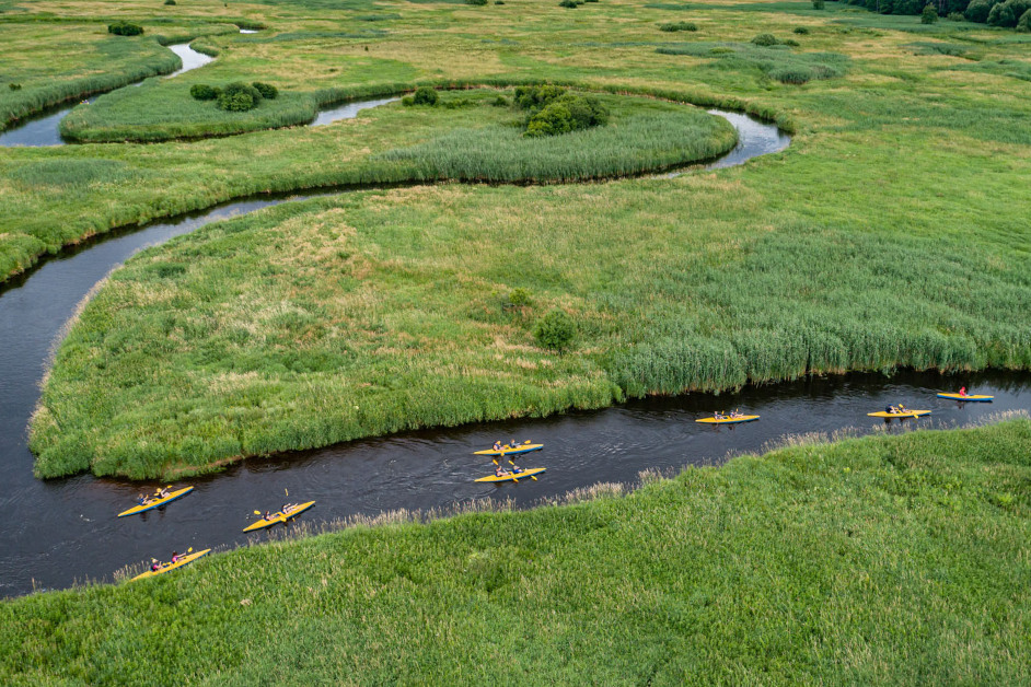Pisa Narew