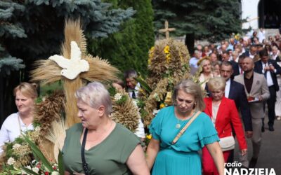 Gmina Kolno: Dożynki w Borkowie za nami!