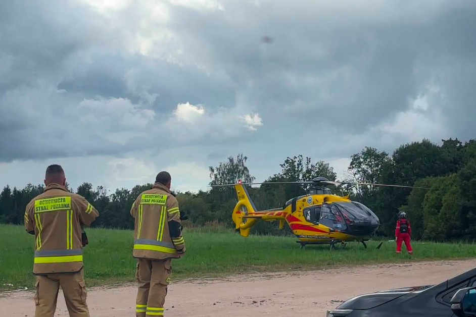 fot. FB Generalna Dyrekcja Lasów