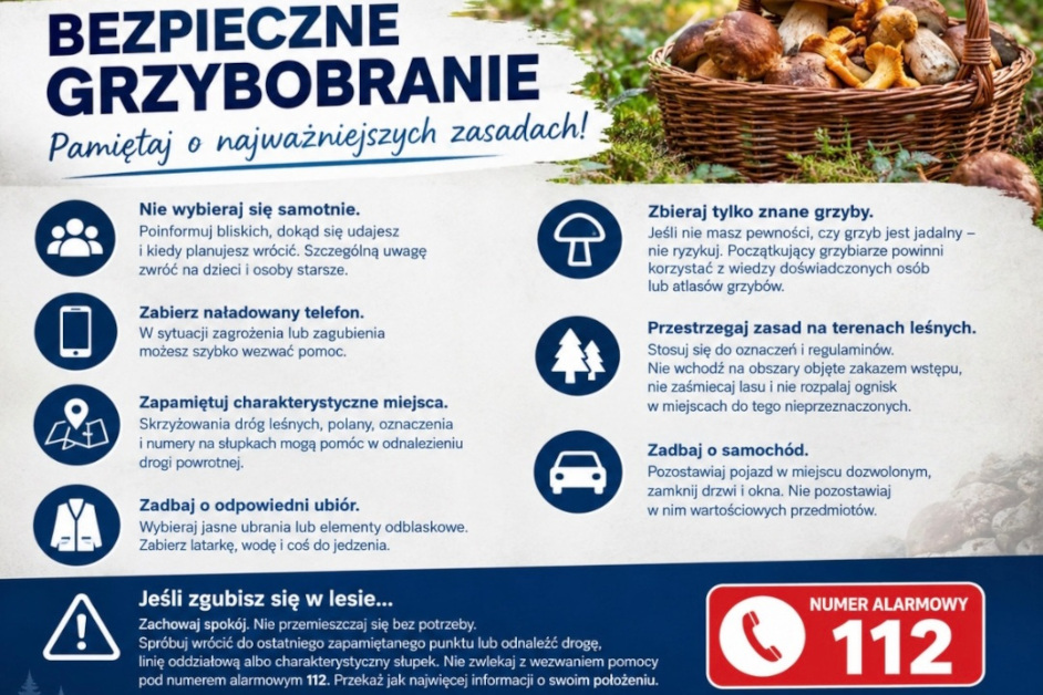 Grzybobranie